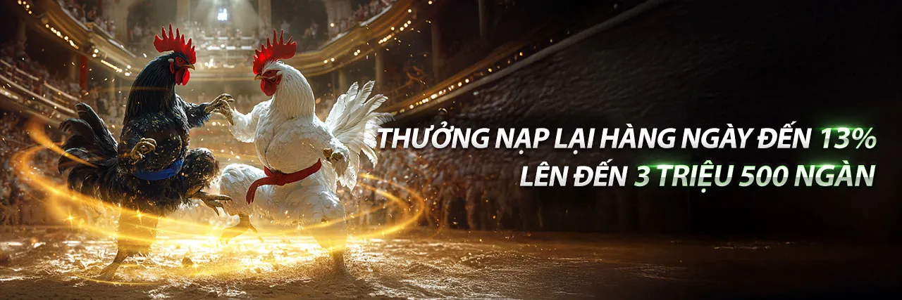 Sòng bạc trực tuyến Alo8 chính thức với nhiều trò chơi hấp dẫn