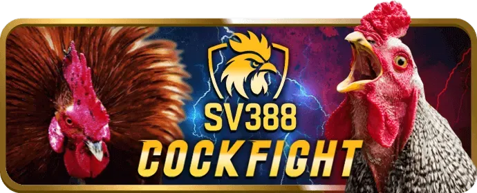 Chương trình hoàn trả thể thao và casino
